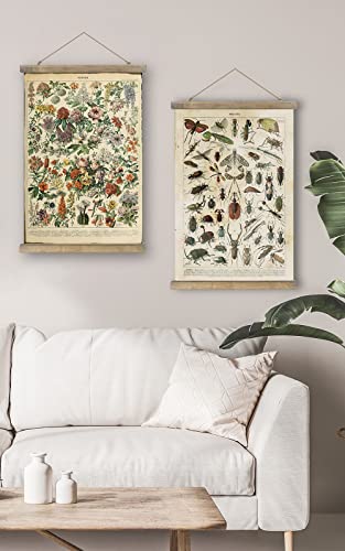 Shoxrem Vintage Poster,Rustic Art Prints, Retro Style Of Wall Hanging For Living Room Office Classroom Bedroom Playroom Apartment Decor. (Insects Entomology 1Panels, 16“ X 24”) #TOP7