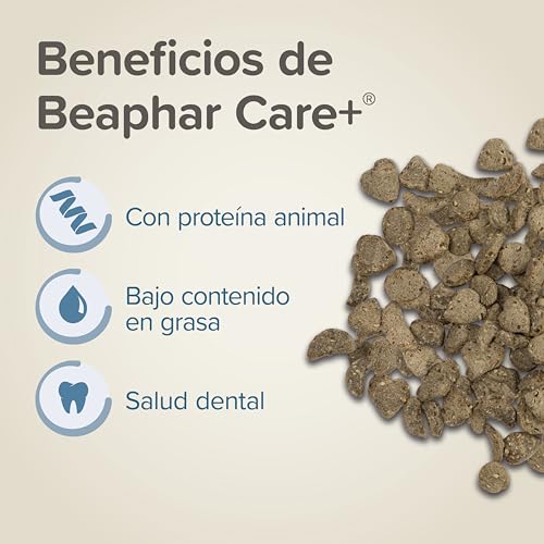 Beaphar Care+ Super Premium-Futter - Futter für Sberbo und Mäuse - 500 g - hoher Energiewert - Zahnabfall und ohne Zuckerzusatz - Extrudiertes Futter