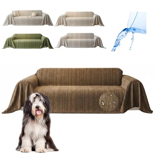 Lifetips rAfbhER[iBearded Colliej \t@[Jo[ k  􂦂 h }`Jo[ 2l| 3l| It IȂ ~ Eh~ LΉ lGʗp iuEj i230180CMj