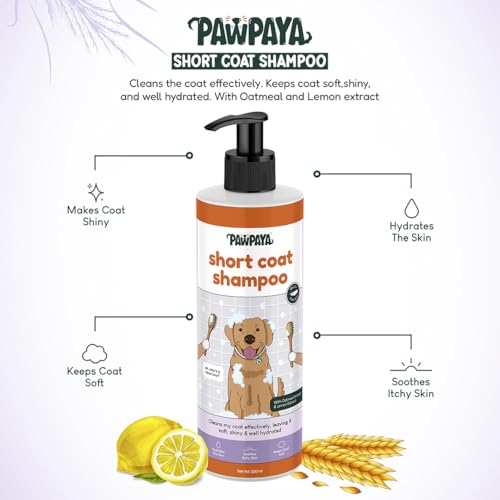 Image of Pawpaya Shampoo Pawpaya Shampoo for Dogs | Gentle Deep Cleansing Formula for Healthy Skin & Soft, Shiny Coat | Suitable for All Dog Breeds & Coat TypesDogs (Short Coat Shampoo)