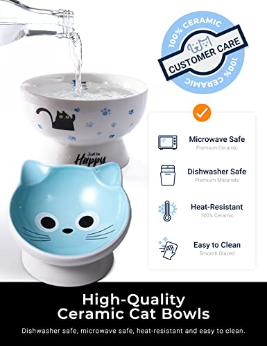Cat Bowls Ceramic Raised Cat Bowl 15° Tilted Protect Cat's Spine, Stress Free, Prevent Vomiting, Cat Dishes For Food And Water Set Of 2,Blue #TOP5