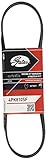 Gates Micro-V Horizon 4PK810SF