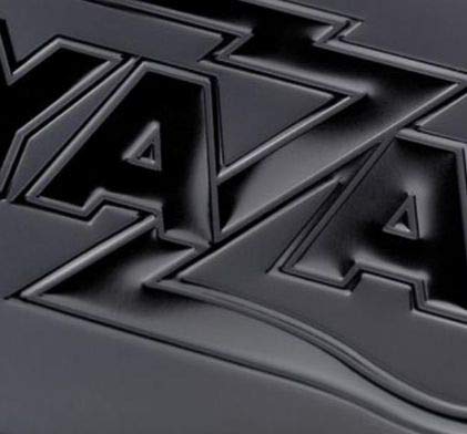 Amazon.co.jp: 矢沢永吉（EIKICHI YAZAWA）ナンバープレート(ロゴ