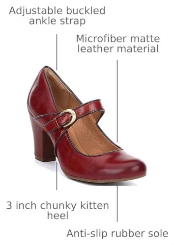 Image of SHODENSE Women Vintage Chunky High Heel Mary Jane Shoes Round Closed Toe Ankle Strap Dress Sandals 3 inch Block Heels Mary Jane Lolita Pumps Two-Toned Patchwork Buckle Office Lady Wedding Retro 4-11 M US