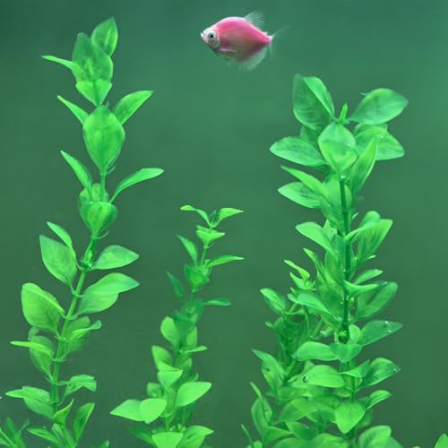 Image of Aquarium Plants 24in, Extra Tall Fish Tank Plants for Large Tanks, Plastic Fish Tank Plant 2 Pack, Fake Aquarium Plant, Tall Decorations for Freshwater Aquariums(Green(Style A))