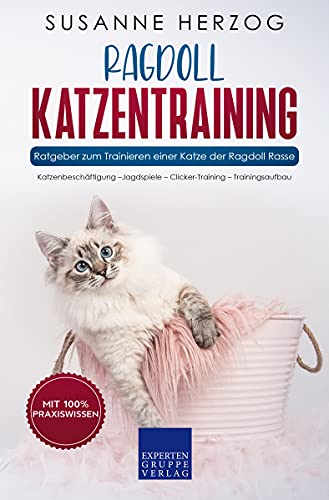 Ragdoll Katzentraining