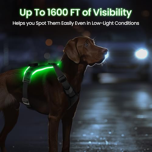 Light Up Dog Hundegeschirr Leuchtend LED Aufladbar - Leuchtgeschirr Leuchtend für Klein Mittelgroße Grosse Hund, Reflektierende Brustgeschirr Beleuchtetes Hundegeschirr, 4-Punkt Verstellbar,Schwarz,L