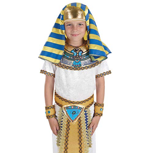 Fun Shack FNK2500L-US Egyptian Costume Kids Pharoah Historical Boys Halloween Costume Large thumb #1
