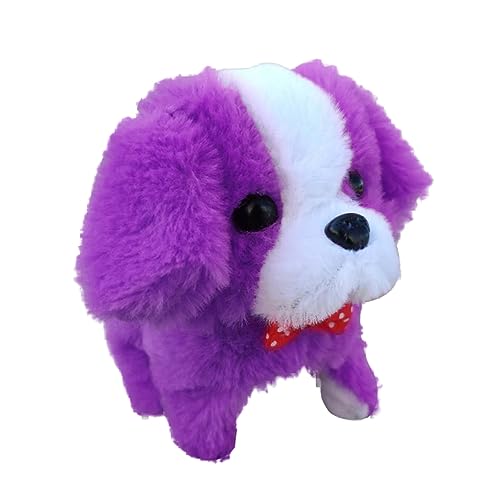 SEWACC dq   X}[g  d   _J[