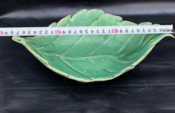 古美術品◼️蔵から大きな美しい葉っぱのお皿が出てきました、茶道具？ Amazon.co.jp: 古美術品??蔵から大きな美しい葉っぱのお皿が出てきまし