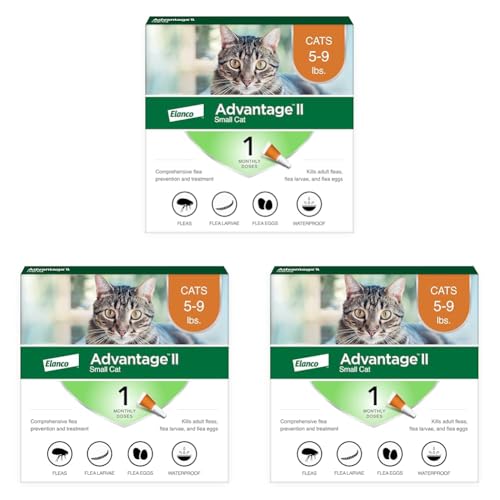 Advantage II Small Cat Vet-Recommended Flea Treatment & Prevention | Cats 5-9 lbs | 1-Month Supply (Pack of 3)
