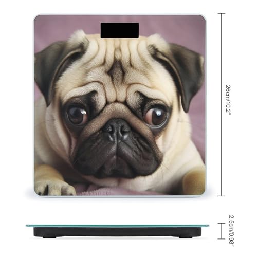 Báscula digital para baño Pug vidrio templado LCD miniatura 2