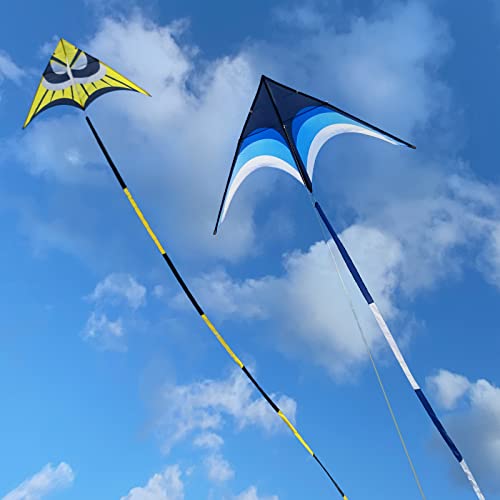Kaiciuss Delta Kite for Kids & Adults Easy to Fly Large, The Easiest