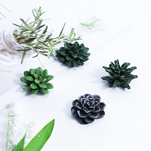 Imanes decorativos de resina con diseño de plantas suculentas, set de 8 miniatura 3