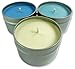 Candlecopia Rain Water, Sea Mist and Beach Linen Strongly Scented Hand Poured Vegan Travel Tin Candles, 3 x 4 ounce Tins