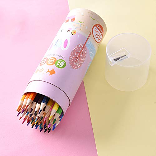 Crayons de couleur écologiques à mine grasse pour étudiants et enfants