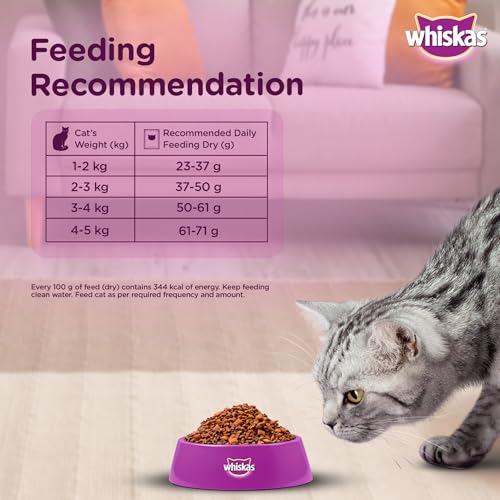 Image of Whiskas Adult (1+ Years) Dry Cat Food, Mackerel Flavour, 7 kg, Contains 41 Essential Nutrients, Complete & Balanced Nutrition for Adult Cats (Pack of 2)