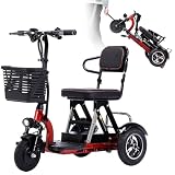 Triciclo Eléctrico Adulto,Mobility Scooter,Triciclo Adulto,Movilidad Mobility...