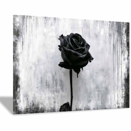Toile Sombres Maugrey Ros HOQIU cadre 20x30cm pour salon