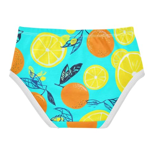 Lemon Slices Orange Leaves Blue Girls Underwear Toddlers 2t Cotton Panties for Girl Personalized Briefs Kids Undies2