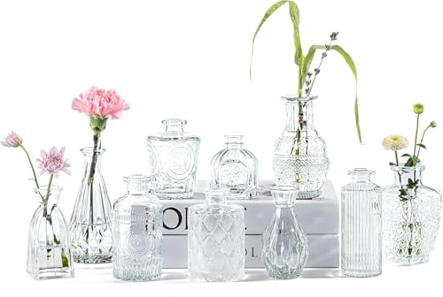 Best Decorative Vases: Glass vs Ceramic 11 TIED RIBBONS Glass Bud Vases for Flowers – Pack of 10 Clear Antiq...