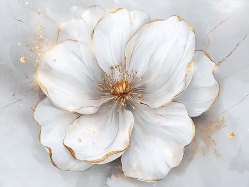 Pintura por números cuadros DIY flor hermosa para decorar el salón de casa