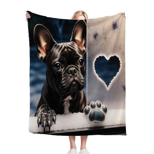 Couverture Polaire 240 x 260 Animal Chien, Couverture Polaire Grande Taille 240x260 cm | Usage Multiple comme Couette d'Appoint, Assure Une Protection Contre Le Froid D95