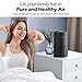 Air Purifiers. We have two models available: the AC201B and the AC300. It's important to note that the filters for these two models are different