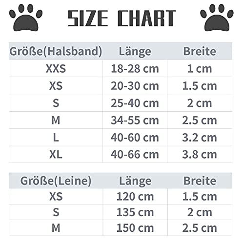 Lionet Paws Hundeleine Baumwolle Hund Leine für kleine mittelgroße große Hunde