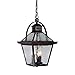Acclaim 7676ABZ Bay Street Collection 3-Light Outdoor Light Fixture Hanging Lantern, Architectural Bronze