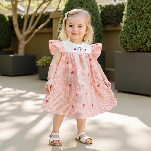 Kid Baby Girl Back to School Outfit Plaid Pencil Embroidery Fly Sleeve Smocked Dress Toddler First Day of School Dress2