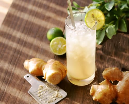 光食品 オーガニックジンジャーエール 250ml×30本