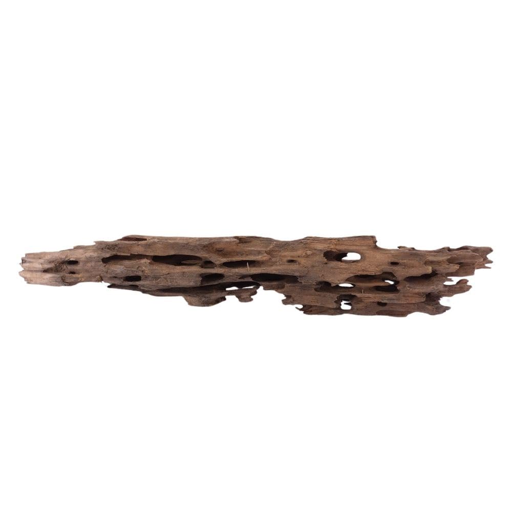 XL Honey Comb Raíz nº 1946 Acuario Raíz Mangrove Madera Decoración Paisaje Musgo Naturaleza Madera Auténtica