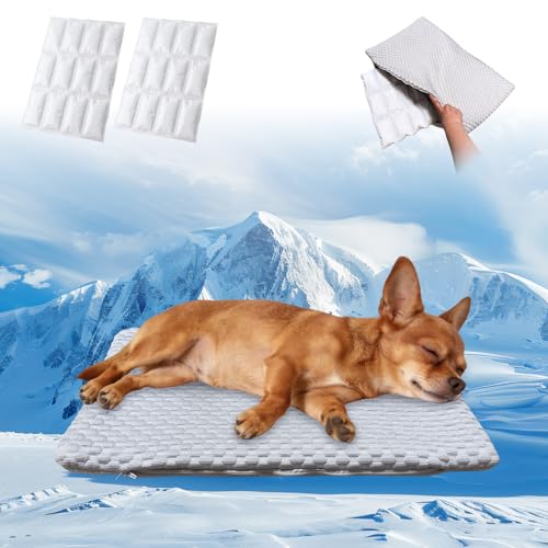 GooCare 2-in-1 ��p�y�b�g�}�b�g ���^��&�L�p - Q-Max>0.4�A�C�X�V���N���n�A���O���\�ȃW�F���C���T�[�g2���A�R��h�~�A����\�A����~��&��Ő��A�N���[�g�A�ԁA����&���O�p�A30.5cmx50.8cm (S)