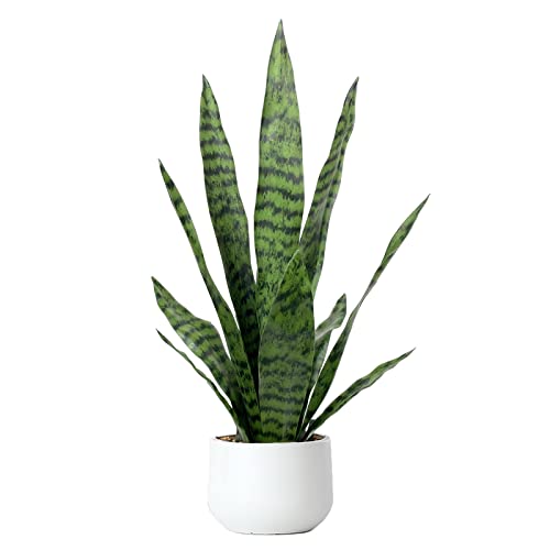 Artificial Snake Plant 22.5" Faux Agave Fake Sansevieria Artificial Potted