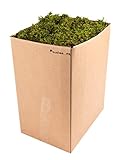 SuperMoss (23806 Mountain Moss Preserved, Fresh Green, Appx. 5lbs