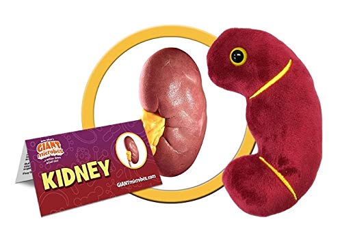 GIANT MICROBES Kidney Plush