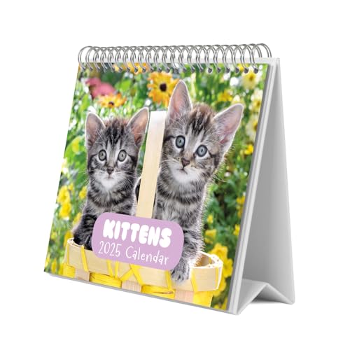 Grupo Erik Cat Desk Calendar 2025 | 8 x 7 inches - 20 x 17 cm | 12 Month Desk Planner, Desktop Calendar 2025 | Cat Calendar 2025, Cats Calendar 2025 Grupo Erik Cat Desk Calendar 2025 | 8 x 7 inches - 20 x 17 cm | 12 Month Desk Planner, Desktop Calendar 2025 | Cat Calendar 2025, Cats Calendar 2025