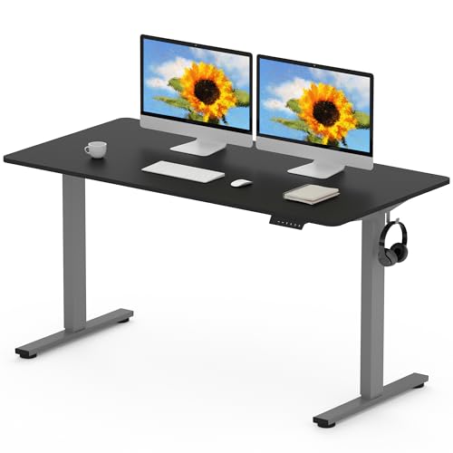 FLEXISPOT 140 x 80cm Electric Standing Desk ONE PIECE Height Adjustable Desk Sit Stand Desk with 4 Memory Smart Panel and Backpack Hook for Home Office, (Gris Frame+Black Desktop)