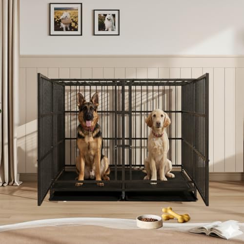 BOLDBONE Dog Crate with divider and two dogs