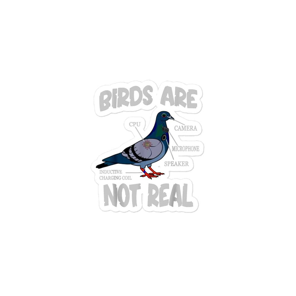 Birds are