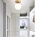 BNTCTC Semi Flush Mount Ceiling Light, G9 Small Double-Layer Glass Lampshade， Retro Style Circle Ceiling Light, Golden Ceiling Disk Ceiling Lamp, Used for Corridor/Balcony/Porch Lighting