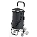 Carrello Portaspesa Pieghevole 3 Ruote x 2 Salire Le Scale Trolley Bag Silenzioso Staccabile Robusto 50Kg con Sacchetto di Isolamento in Foglio di Alluminio vano Frigorifero Picnic Campeggio 36L
