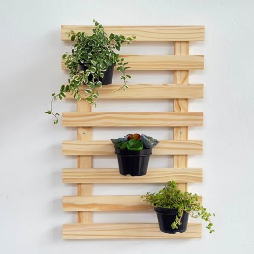 Jardim Vertical de Madeira Pinus 60x40cm para Parede – Painel Tre...