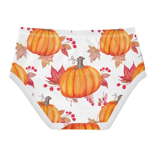 Animal Toddler Underwear Floral 2t Cotton Panties Little Girl Watercolor Pumpkins Briefs Undies Kids2