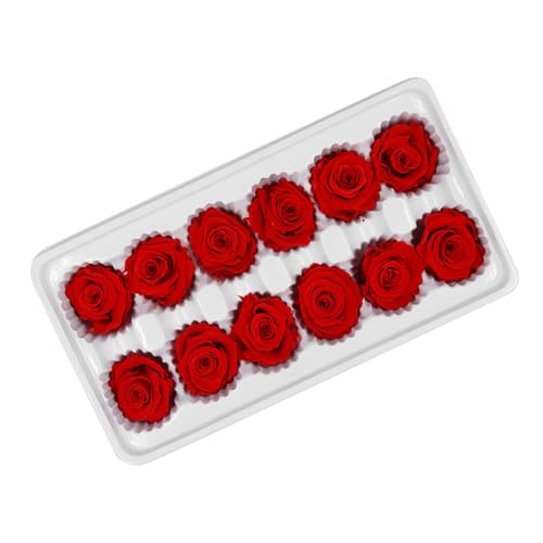 CANIGHT Flores Preservadas para Boda Ramo de Rosas 12 Unidades Cabeza 3-4 CM Accesorio Floral para Decoración de Fiestas, Regalos y Día de San Valentín