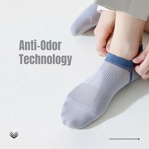 Image of Sockscarving No Show Cotton Multi Colour Socks | Pure Premium Cotton for Men and Women Socks | Stretchable Free Size Anti Odur Sweat Free Anti Slip