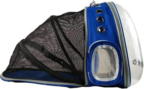 Riuuyyi L bN L[ L FD g JvZ L L[obO ybgL[  L n[h o U ObY (u[)