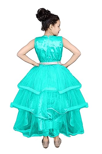 Image of Girl's Net Frill Ball Design Gown Dress
