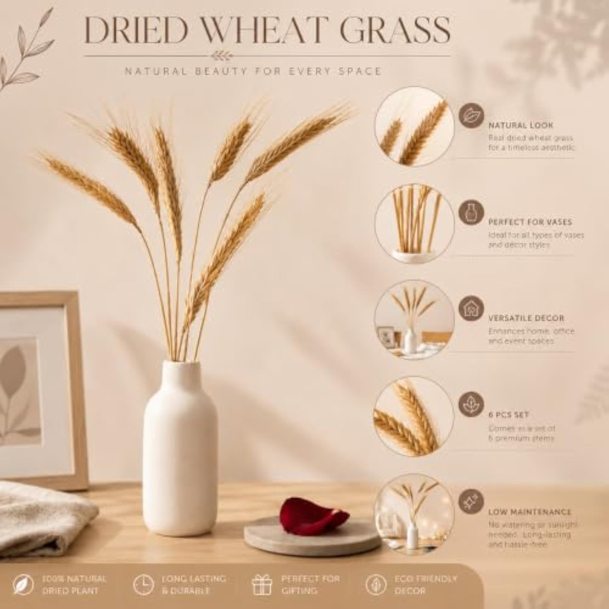 Dried Wheat Grass for Home Decoration, 6 Pcs